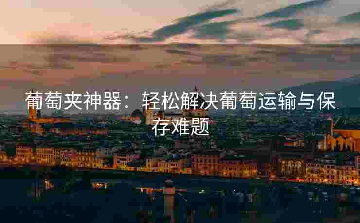 葡萄夹神器：轻松解决葡萄运输与保存难题