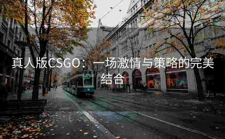 真人版CSGO:一场激情与策略的完美结合 真人版CSGO:一场激情与策略的完美结合